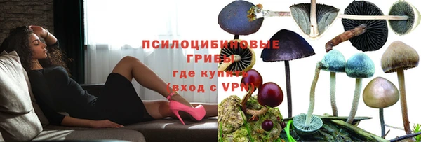 трава Абдулино