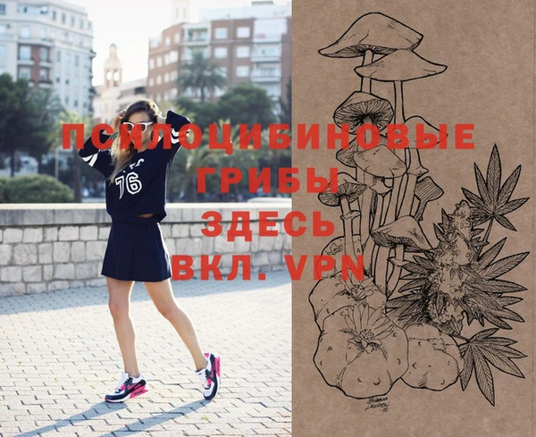 ешки Абаза